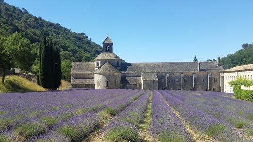 abbaye-5199856_1920.jpg