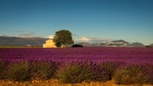 provence-4798070_1920.jpg